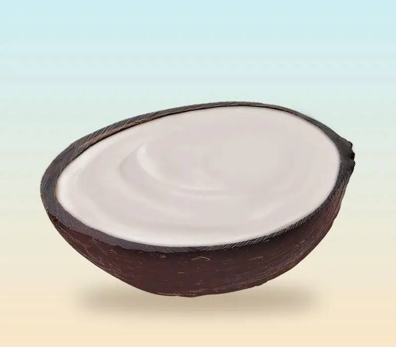 Island Way coconut sorbet in a real coconut shell